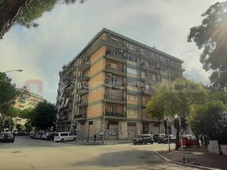 Zona