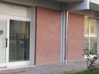 Ingresso