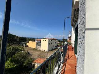 Vista