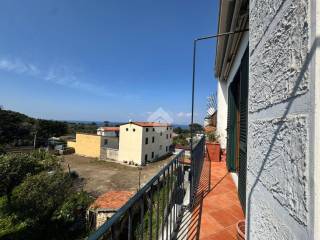Vista
