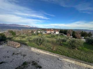 Vista