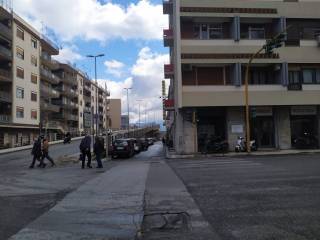 Zona