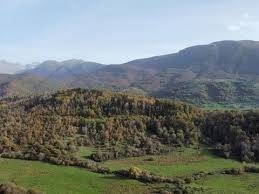 Zona