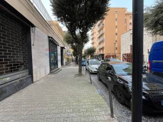 Zona