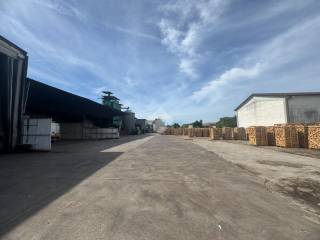 Zona