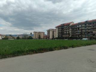 Zona