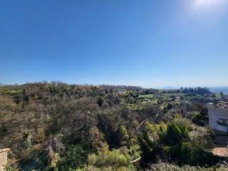 Vista