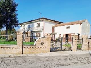 Zona