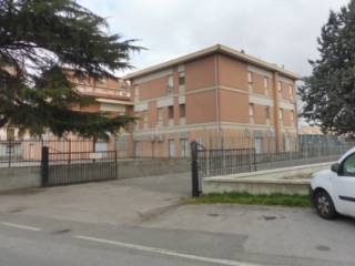Zona
