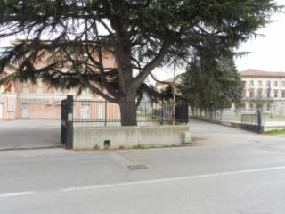 Zona