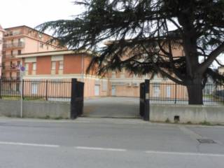 Zona