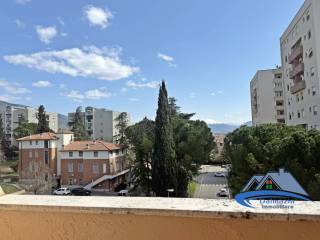 Vista