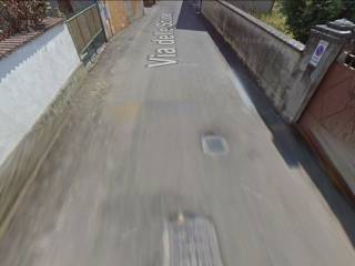 Zona