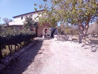 Zona