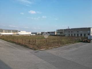 Zona