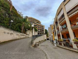 Zona