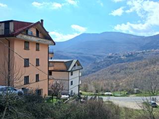 Vista