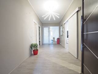 Ingresso
