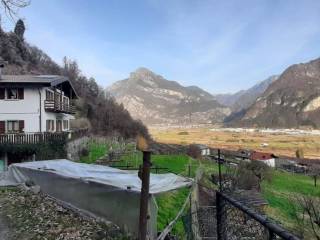 Vista