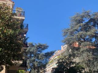 Zona