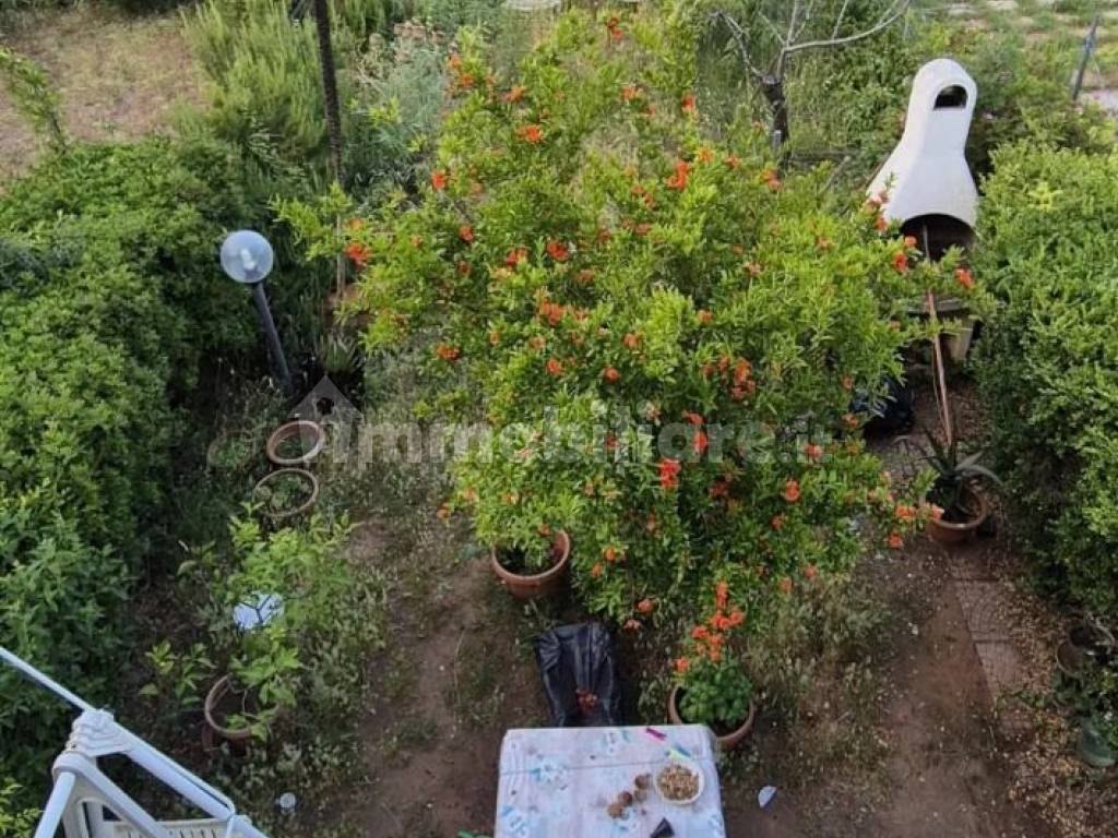 Giardino