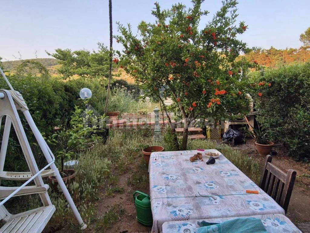 Giardino