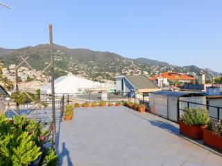 Zona