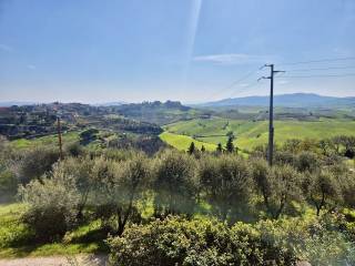 Vista