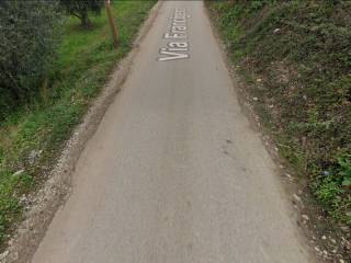Zona