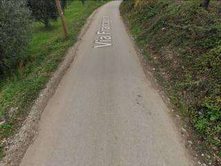 Zona
