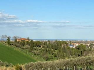 Vista
