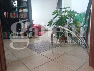 Ingresso