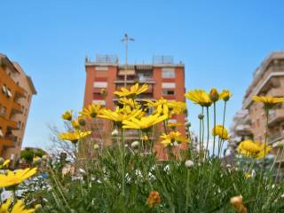 Zona