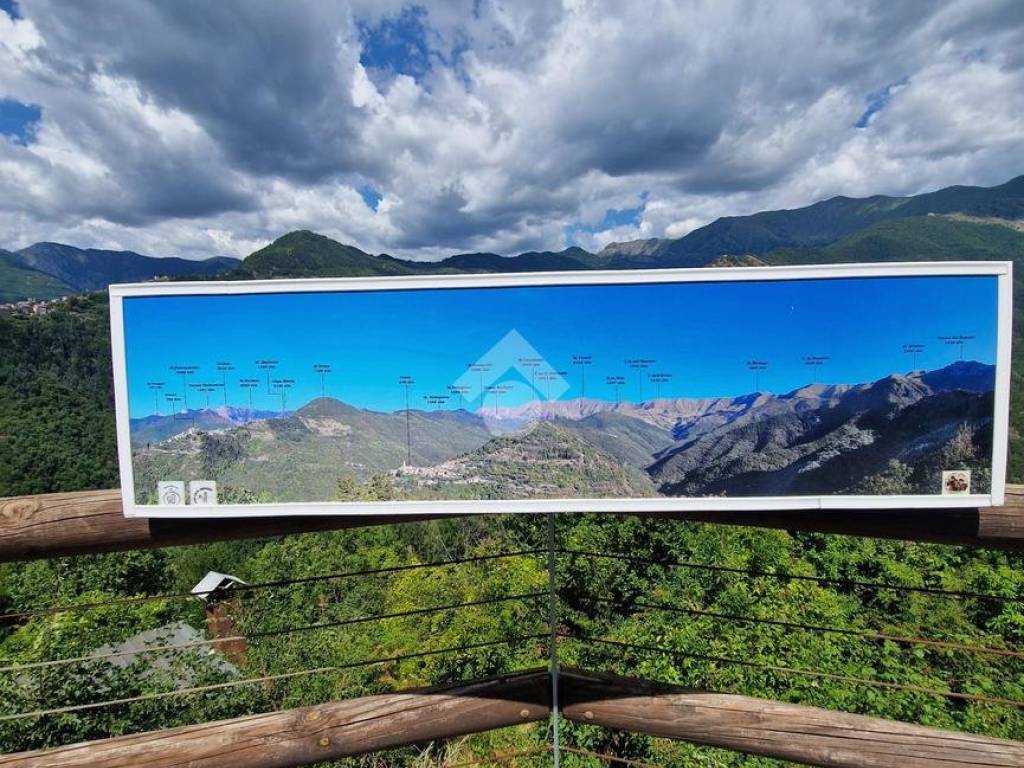 Vista