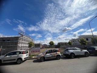 Zona