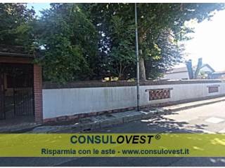 Zona
