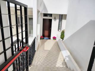 Ingresso