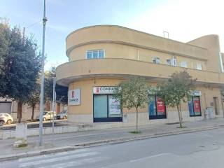 Zona