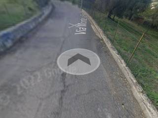 Zona