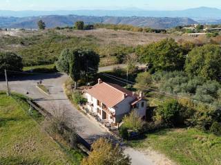 Vista