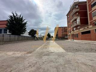 Zona
