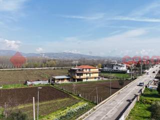 Vista