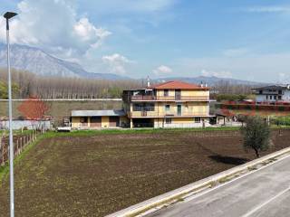 Vista