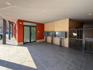 Ingresso
