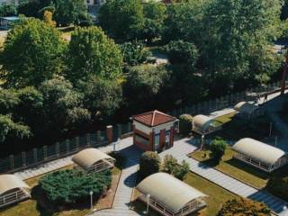 Vista