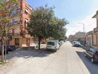 Zona