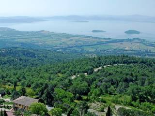 Vista
