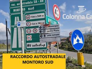 Zona