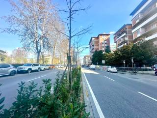 Zona