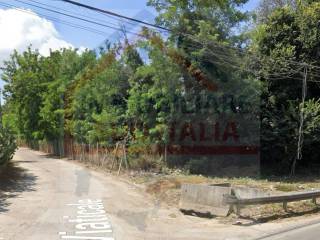 Zona